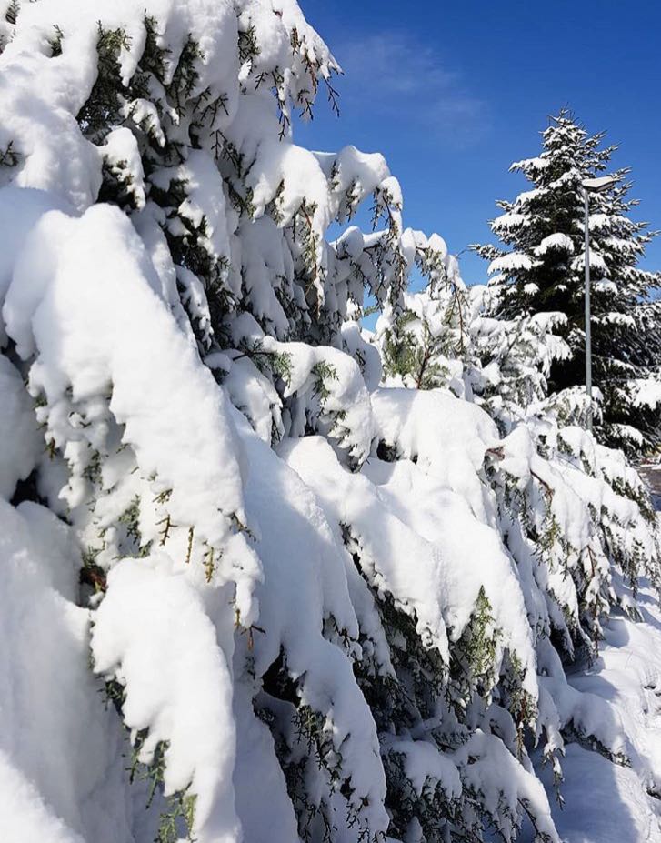 WhatsApp Image 2018 03 05 at 18.52.46