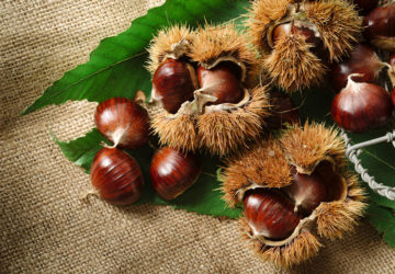 castagne